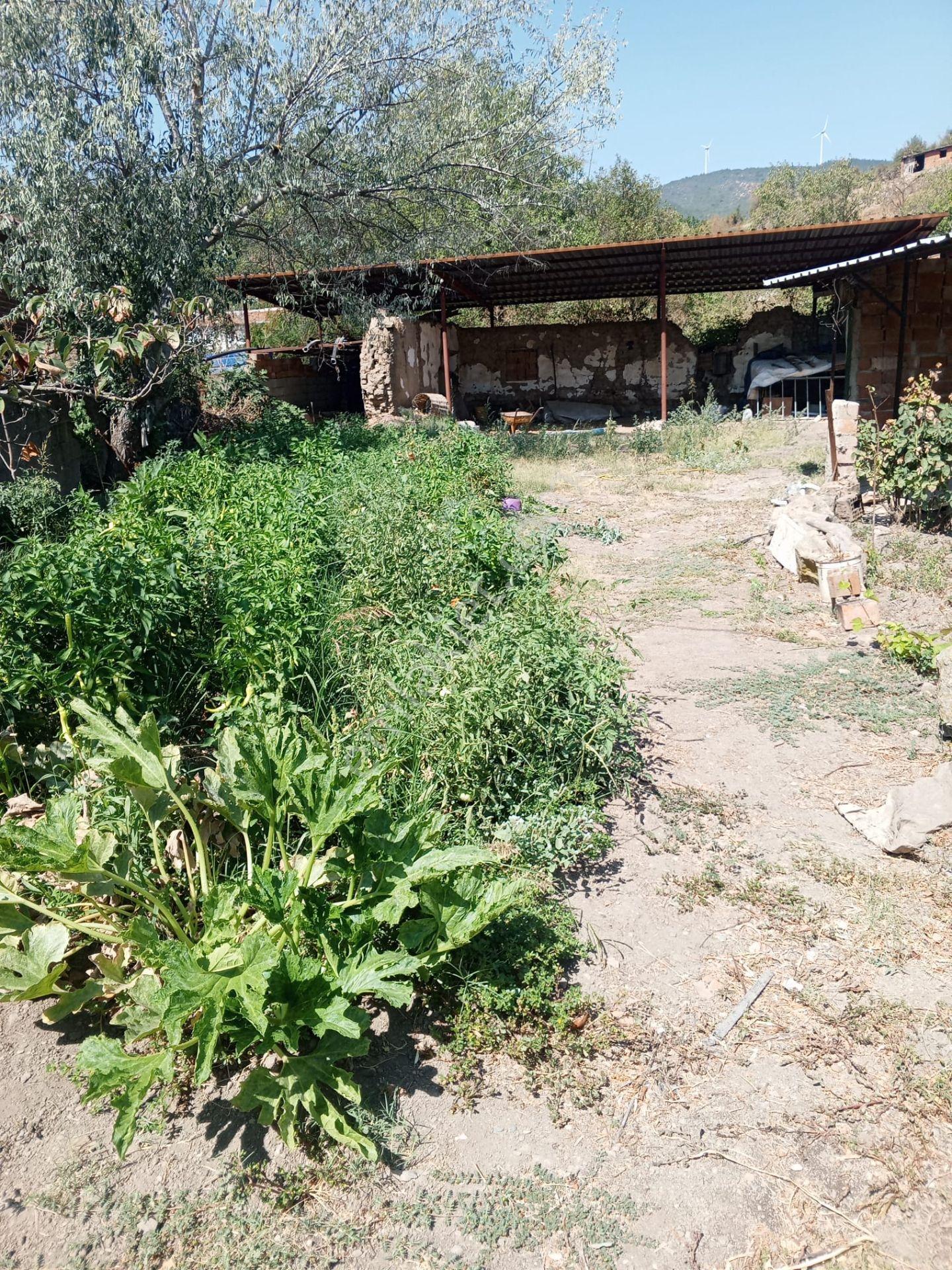 Kepsut Bektaşlarda İki Katli Müstakil Ev Ve Dam — fotoğraf 10