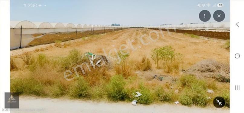 Yüksek Seraya Ve Depolamaya Uygun Cocacola Fabrikası Civarı — fotoğraf 3