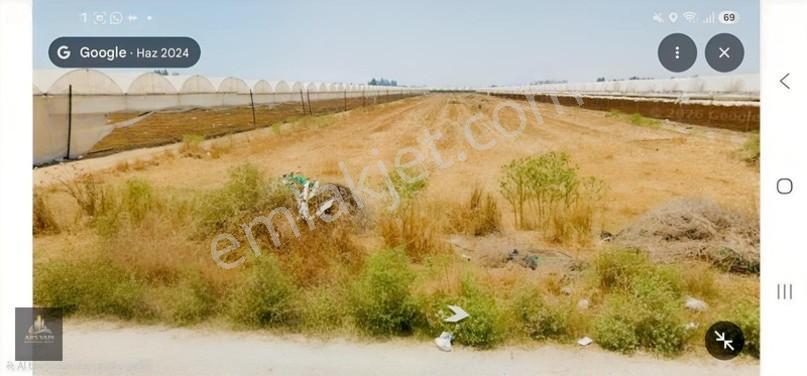 Yüksek Seraya Ve Depolamaya Uygun Cocacola Fabrikası Civarı — fotoğraf 4