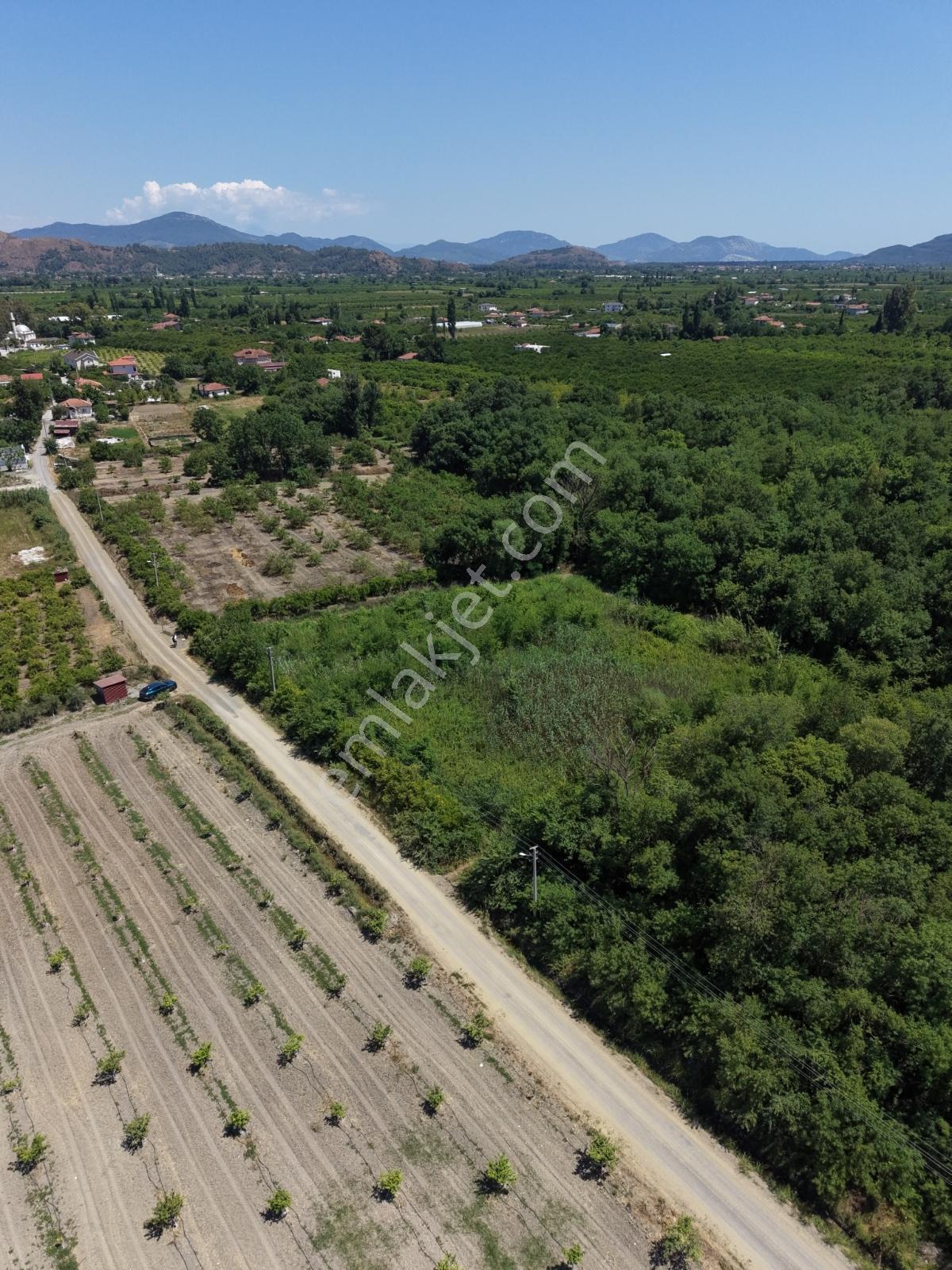 Remaxtan Ortaca Yeşilyurtta Satılık 12 Dönüm Arazi Ve Dubleks Ev — fotoğraf 16
