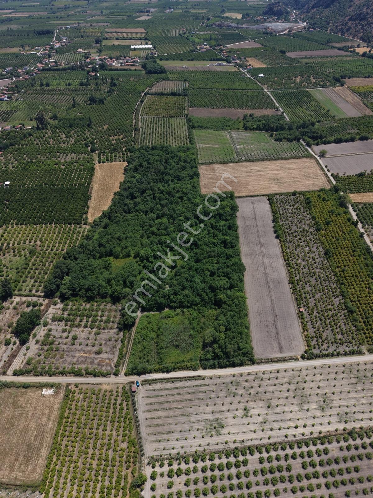 Remaxtan Ortaca Yeşilyurtta Satılık 12 Dönüm Arazi Ve Dubleks Ev — fotoğraf 19
