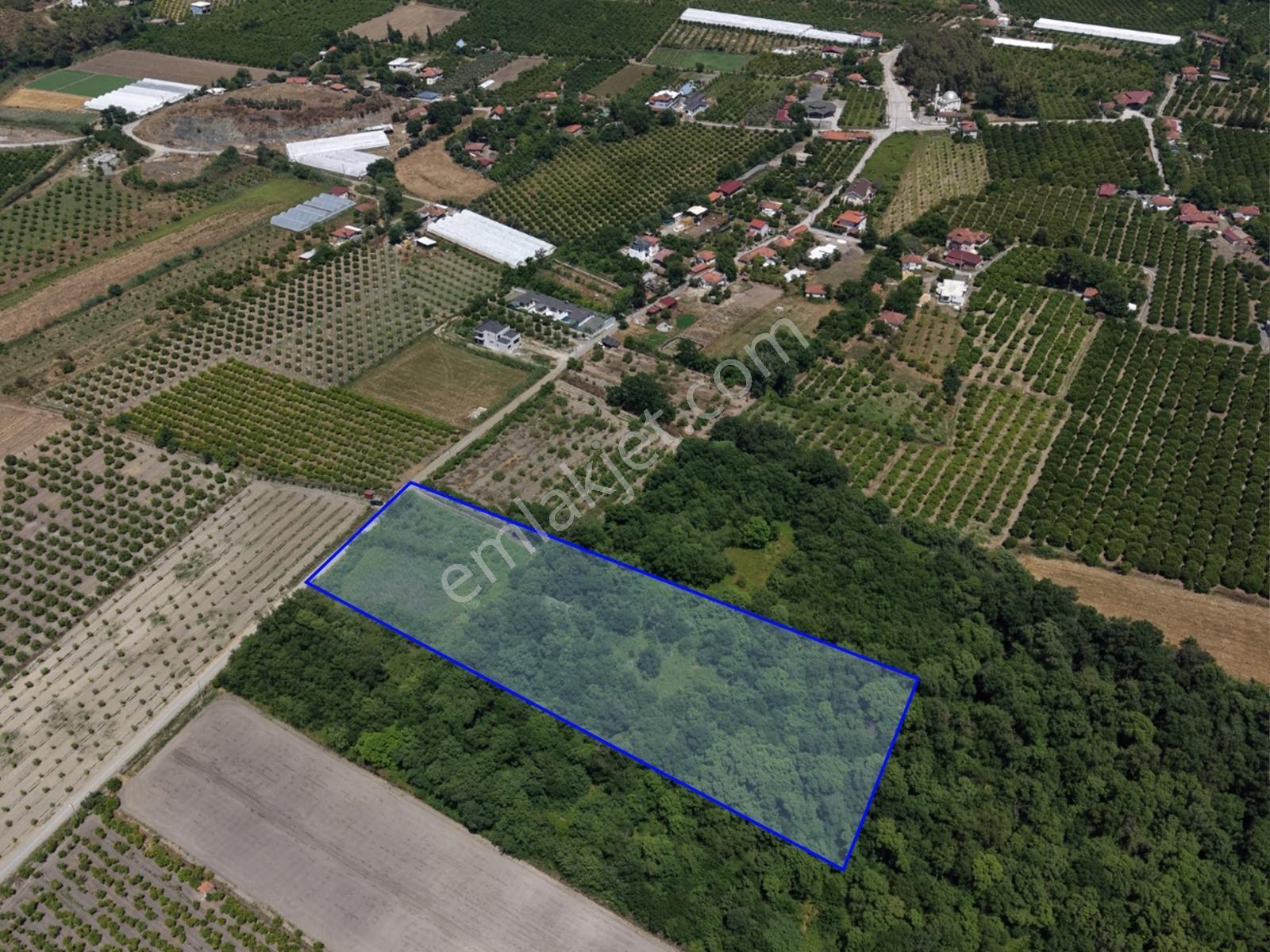 Remaxtan Ortaca Yeşilyurtta Satılık 12 Dönüm Arazi Ve Dubleks Ev — fotoğraf 21