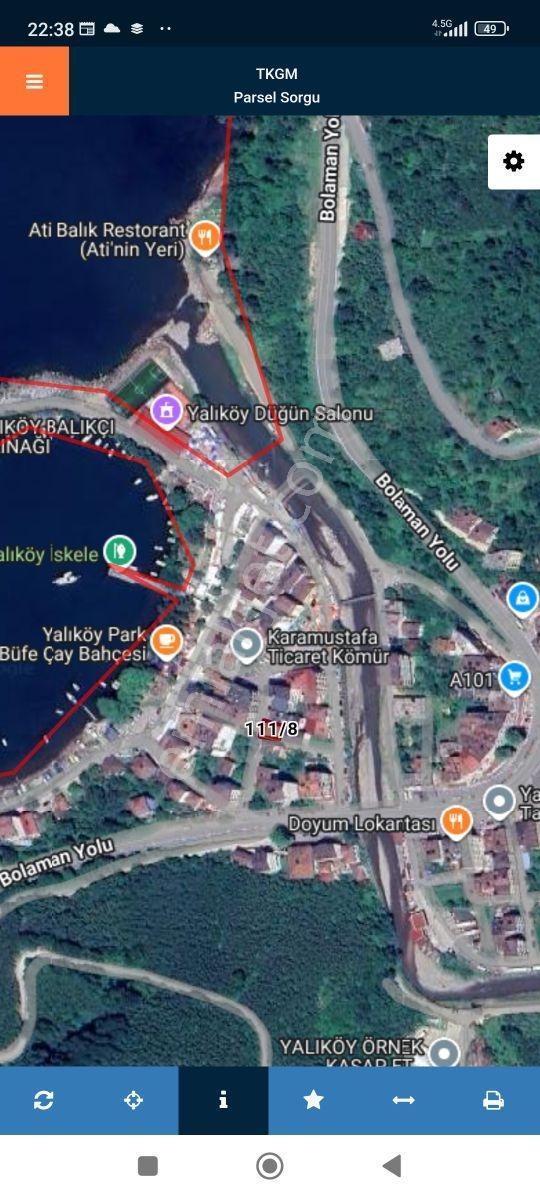 Fatsa Yalıköy'de Satılık Ev Ve Arsası — fotoğraf 7