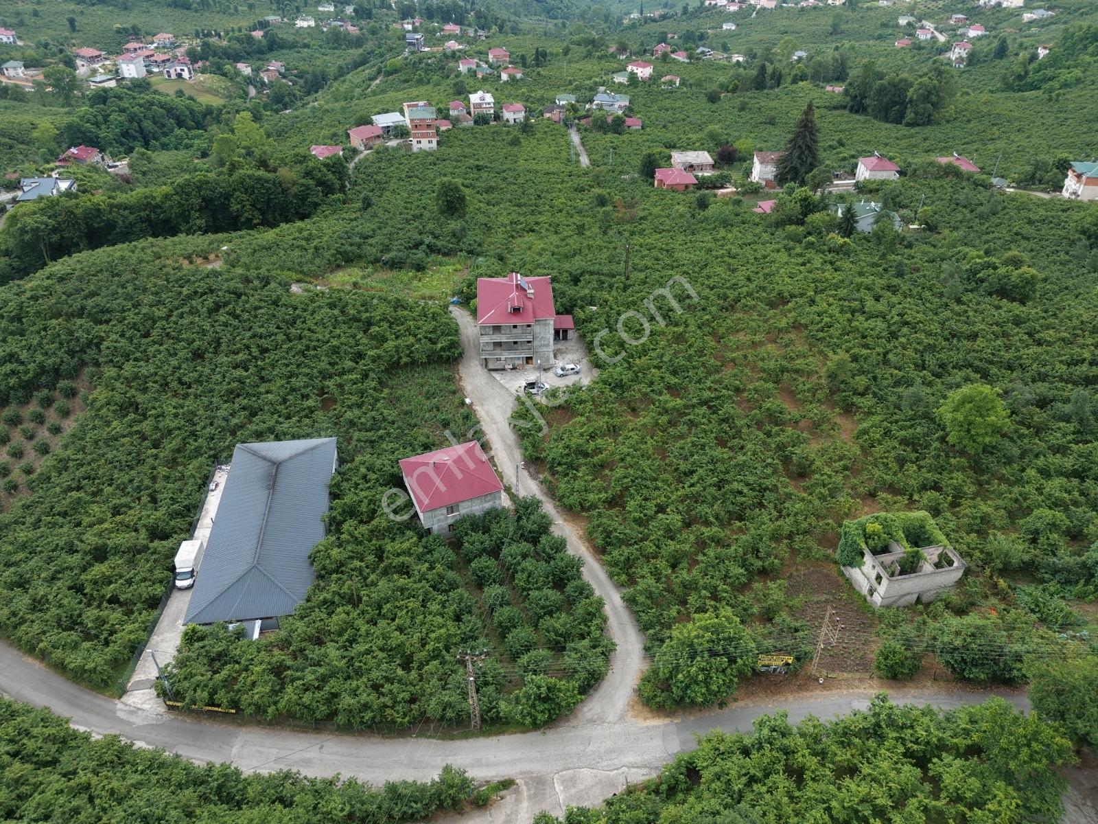 Tos Mahallesinde Emsalsiz 3 Katlı Villa — fotoğraf 30