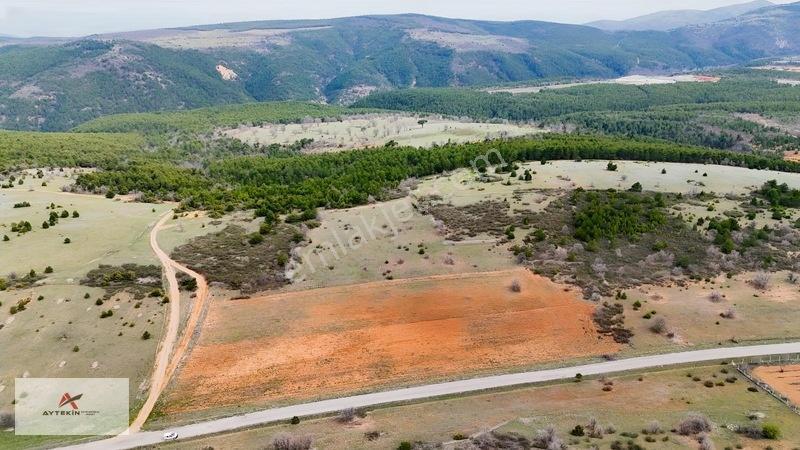 Ormanın Yanında 19.003 M² Müstakil Tarla Asfalt Yola Sıfır