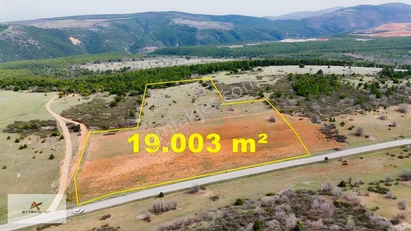 Ormanın Yanında 19.003 M² Müstakil Tarla Asfalt Yola Sıfır — fotoğraf 2