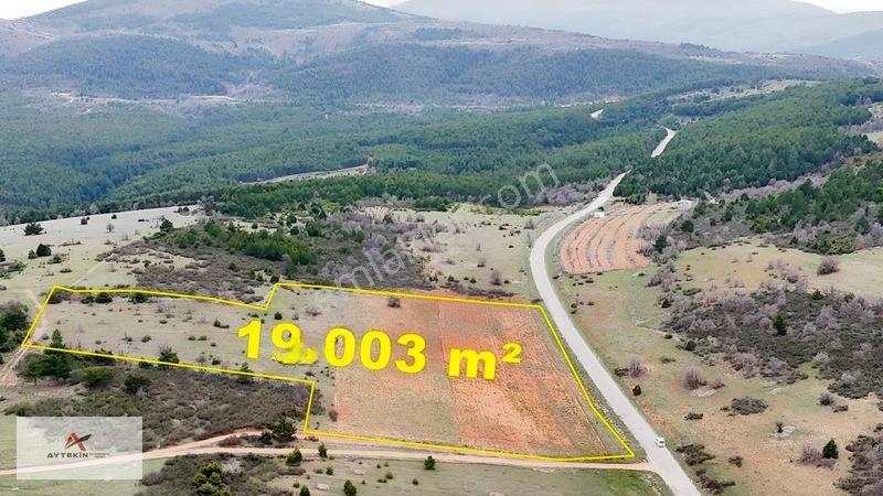 Ormanın Yanında 19.003 M² Müstakil Tarla Asfalt Yola Sıfır — fotoğraf 4