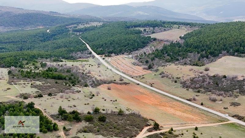 Ormanın Yanında 19.003 M² Müstakil Tarla Asfalt Yola Sıfır — fotoğraf 5