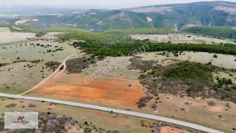 Ormanın Yanında 19.003 M² Müstakil Tarla Asfalt Yola Sıfır — fotoğraf 7