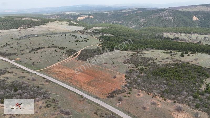 Ormanın Yanında 19.003 M² Müstakil Tarla Asfalt Yola Sıfır — fotoğraf 8