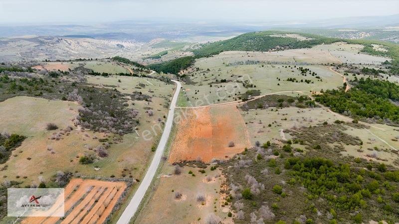 Ormanın Yanında 19.003 M² Müstakil Tarla Asfalt Yola Sıfır — fotoğraf 9