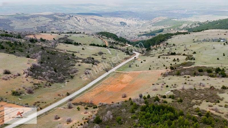 Ormanın Yanında 19.003 M² Müstakil Tarla Asfalt Yola Sıfır — fotoğraf 10