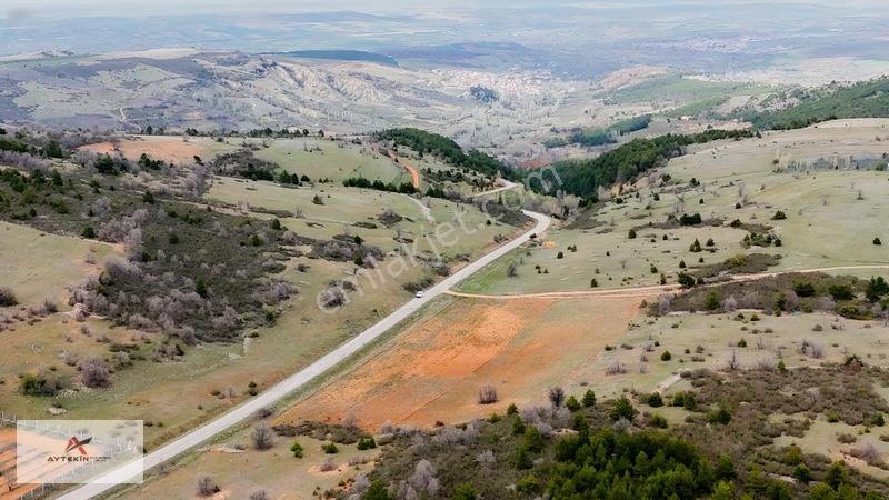 Ormanın Yanında 19.003 M² Müstakil Tarla Asfalt Yola Sıfır — fotoğraf 11