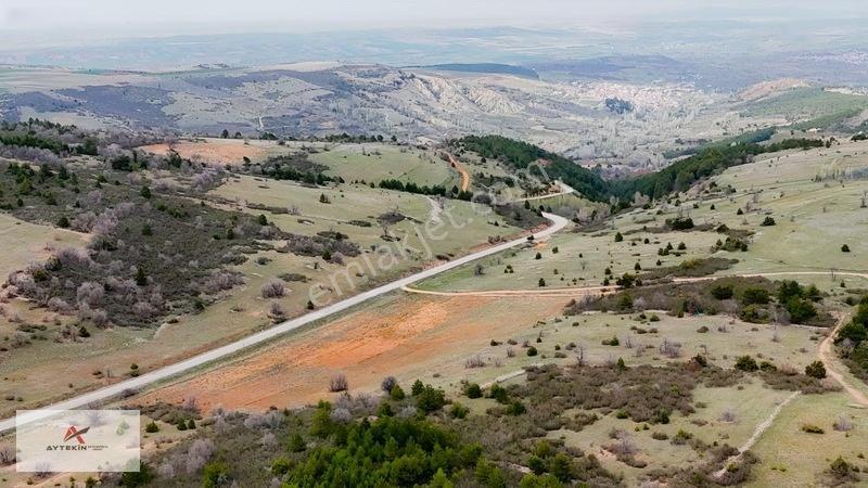 Ormanın Yanında 19.003 M² Müstakil Tarla Asfalt Yola Sıfır — fotoğraf 12