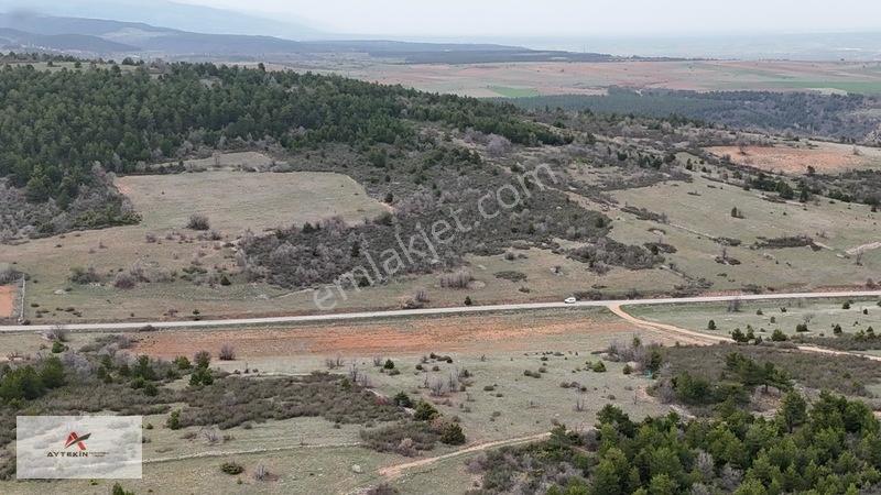 Ormanın Yanında 19.003 M² Müstakil Tarla Asfalt Yola Sıfır — fotoğraf 13