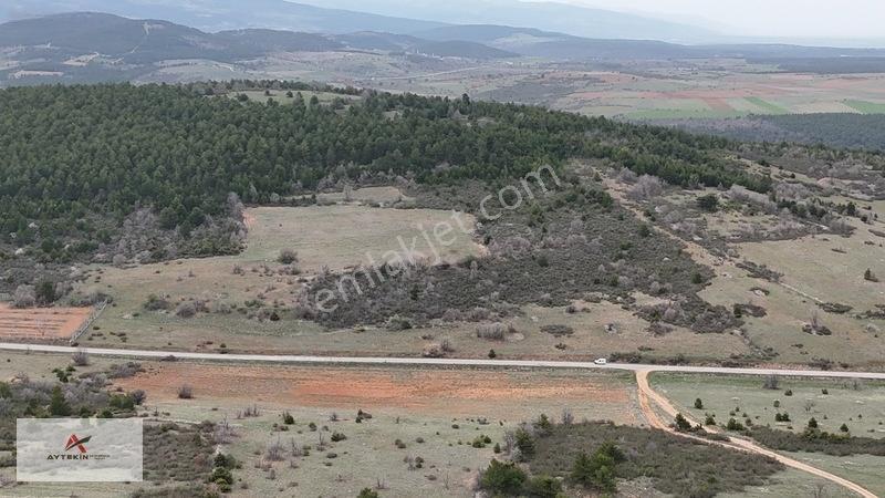 Ormanın Yanında 19.003 M² Müstakil Tarla Asfalt Yola Sıfır — fotoğraf 14