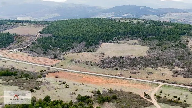Ormanın Yanında 19.003 M² Müstakil Tarla Asfalt Yola Sıfır — fotoğraf 15