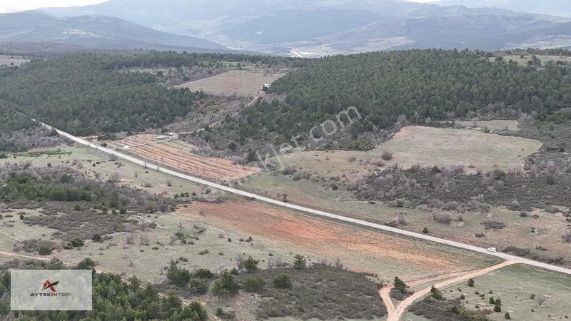 Ormanın Yanında 19.003 M² Müstakil Tarla Asfalt Yola Sıfır — fotoğraf 16