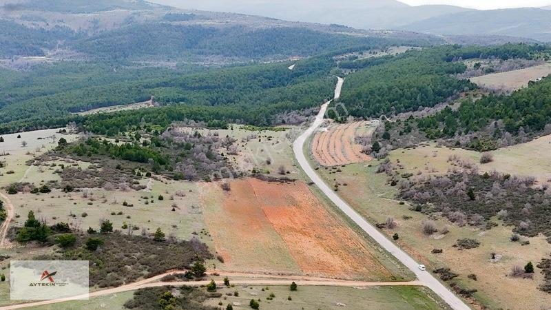 Ormanın Yanında 19.003 M² Müstakil Tarla Asfalt Yola Sıfır — fotoğraf 17