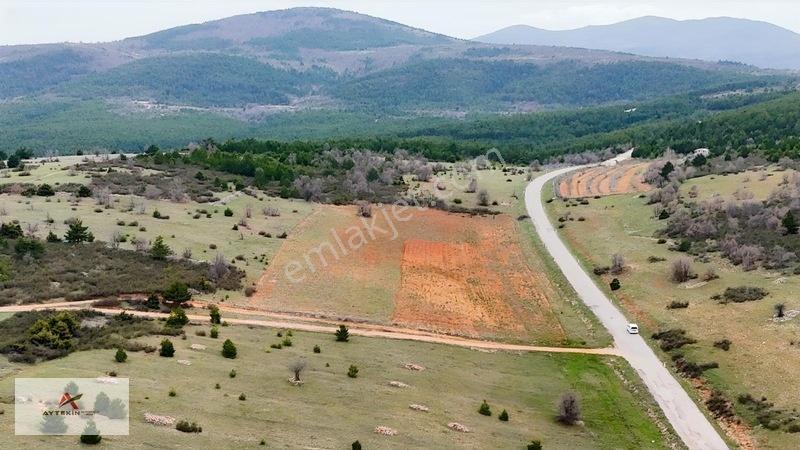 Ormanın Yanında 19.003 M² Müstakil Tarla Asfalt Yola Sıfır — fotoğraf 18