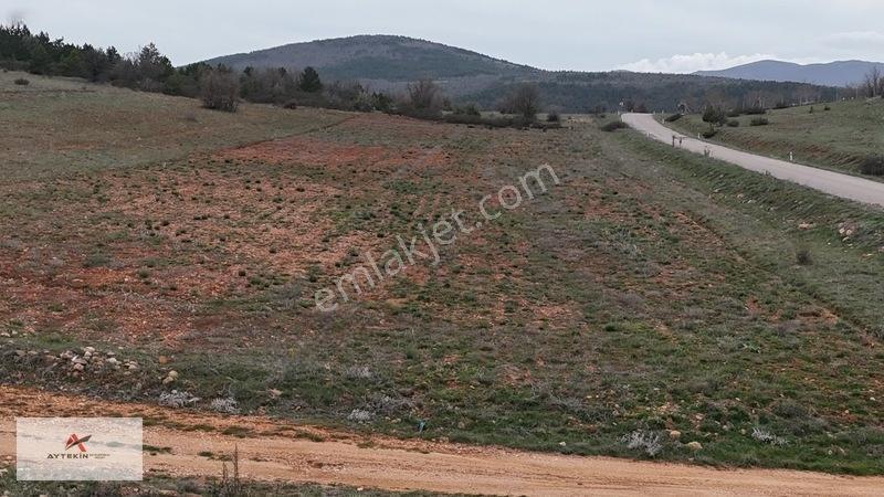 Ormanın Yanında 19.003 M² Müstakil Tarla Asfalt Yola Sıfır — fotoğraf 19