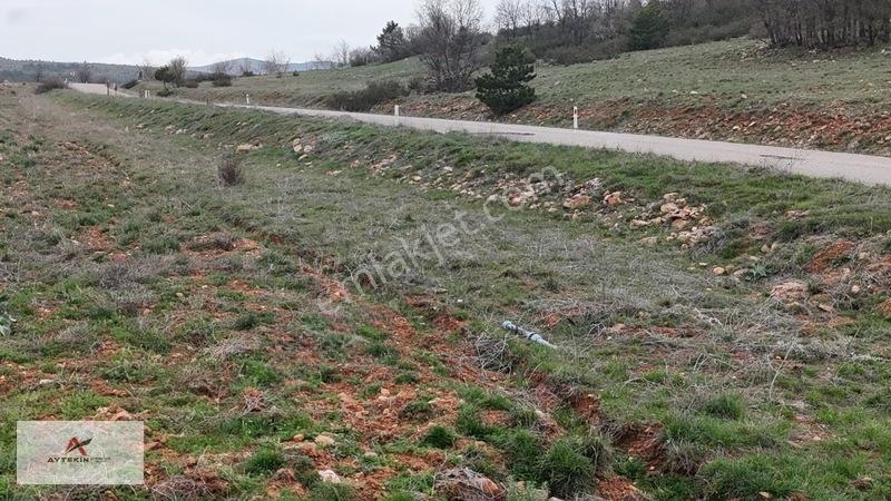 Ormanın Yanında 19.003 M² Müstakil Tarla Asfalt Yola Sıfır — fotoğraf 20