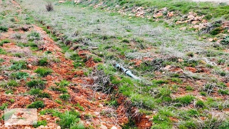 Ormanın Yanında 19.003 M² Müstakil Tarla Asfalt Yola Sıfır — fotoğraf 21