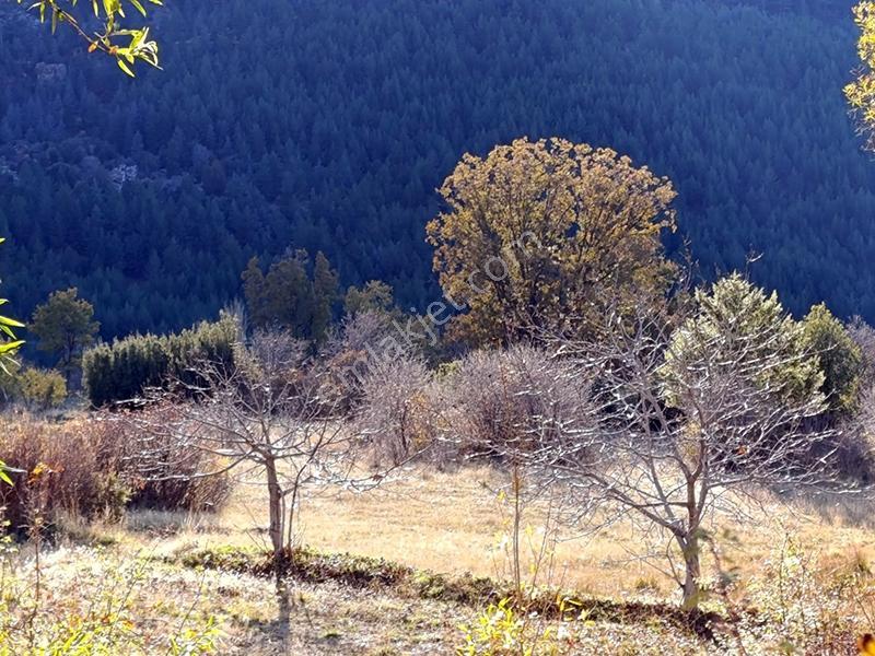 Remax'tan Seydikemer Dereköy'de Tek Tapulu Satılık 6 Dönüm Tarla — fotoğraf 2