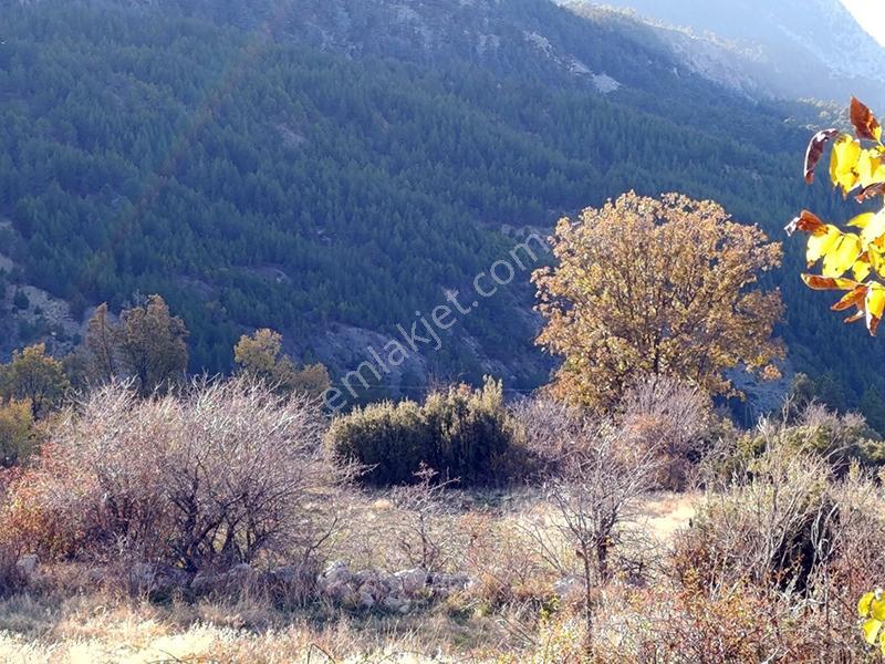 Remax'tan Seydikemer Dereköy'de Tek Tapulu Satılık 6 Dönüm Tarla — fotoğraf 3