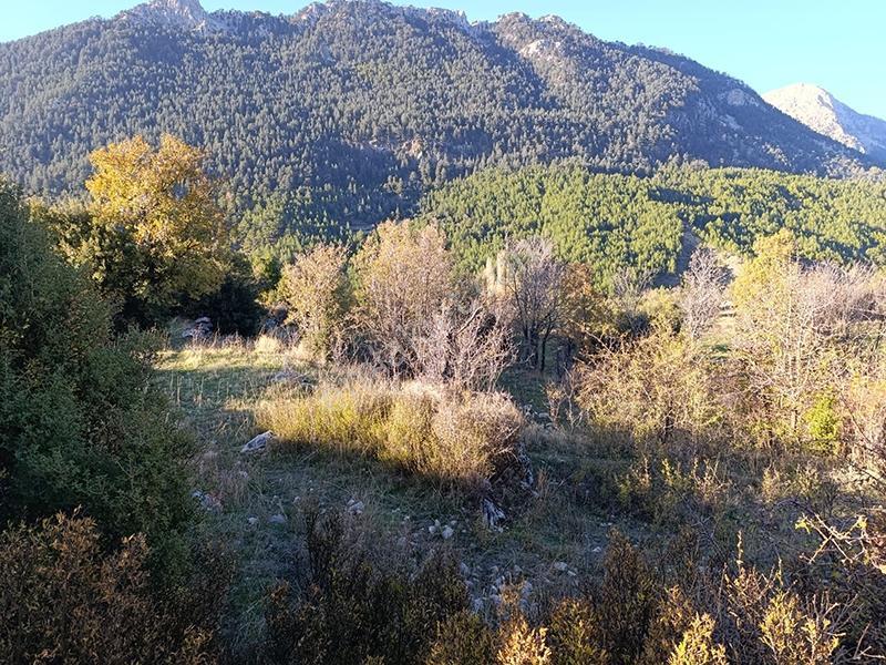 Remax'tan Seydikemer Dereköy'de Tek Tapulu Satılık 6 Dönüm Tarla — fotoğraf 4