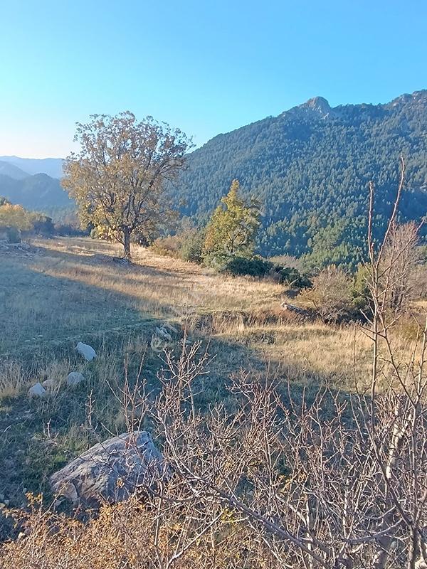 Remax'tan Seydikemer Dereköy'de Tek Tapulu Satılık 6 Dönüm Tarla — fotoğraf 7