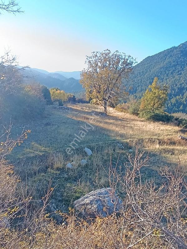 Remax'tan Seydikemer Dereköy'de Tek Tapulu Satılık 6 Dönüm Tarla — fotoğraf 8