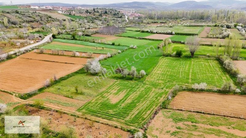 Doğanhisar Zafer Mahallesinde 500 M² Müstakil Tapulu Tarla