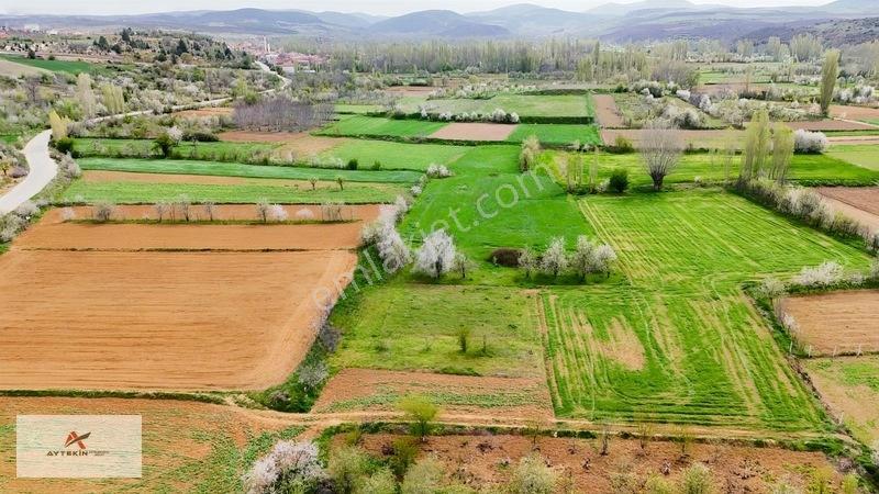 Doğanhisar Zafer Mahallesinde 500 M² Müstakil Tapulu Tarla — fotoğraf 6