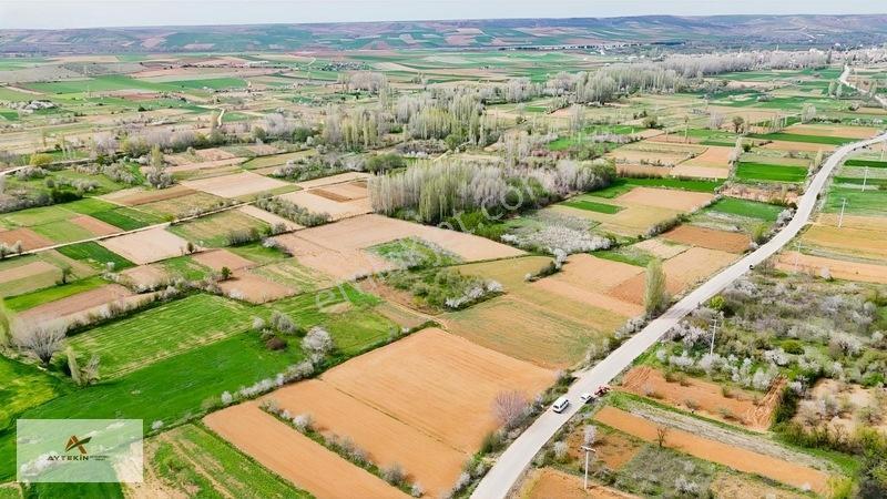 Doğanhisar Zafer Mahallesinde 500 M² Müstakil Tapulu Tarla — fotoğraf 9