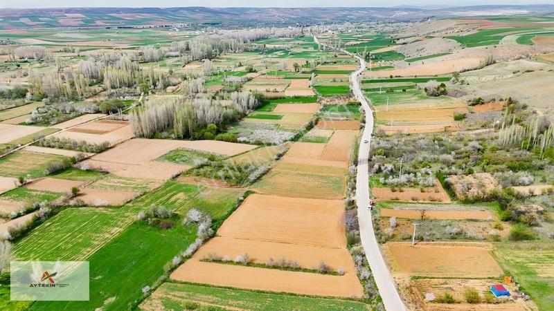 Doğanhisar Zafer Mahallesinde 500 M² Müstakil Tapulu Tarla — fotoğraf 11