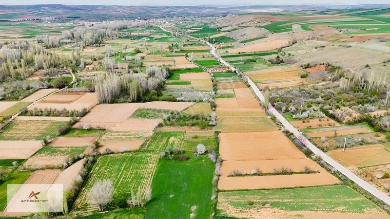 Doğanhisar Zafer Mahallesinde 500 M² Müstakil Tapulu Tarla — fotoğraf 12