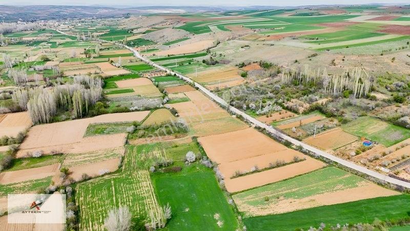 Doğanhisar Zafer Mahallesinde 500 M² Müstakil Tapulu Tarla — fotoğraf 13