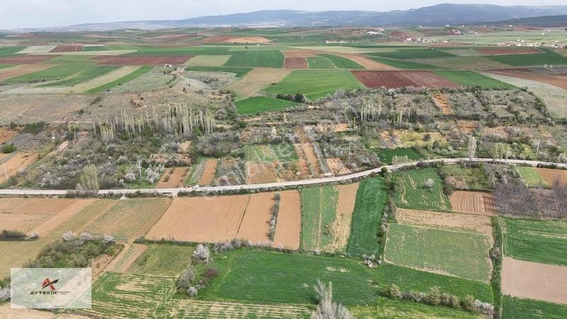 Doğanhisar Zafer Mahallesinde 500 M² Müstakil Tapulu Tarla — fotoğraf 14