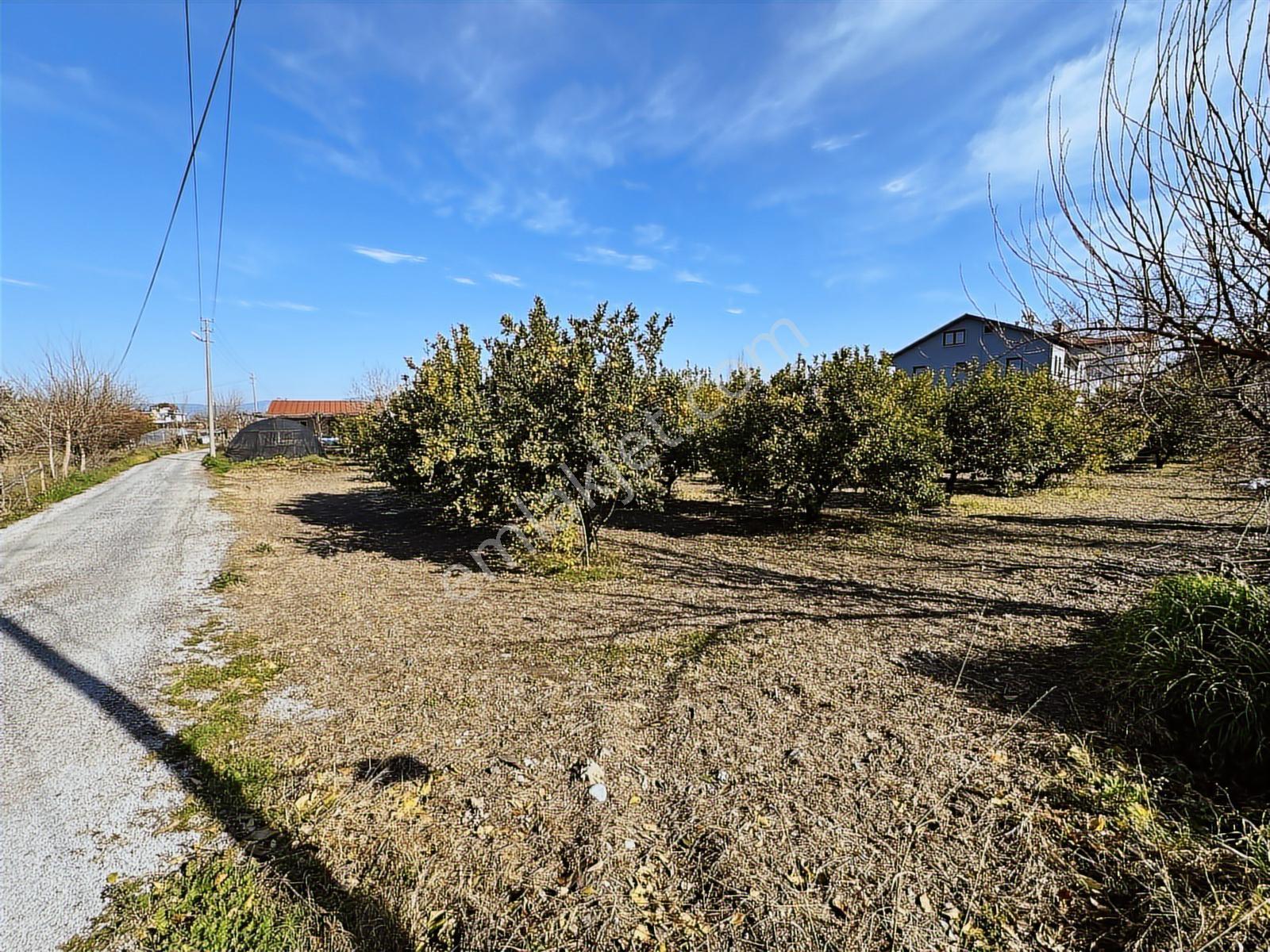 Ortaca Okçularda 8.675m² Köy İçi İmarlı Anayola 60m Cepheli Arsa — fotoğraf 22