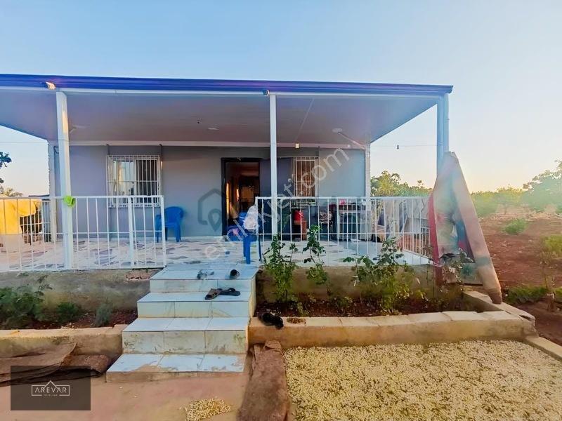Oğuzelı Gürsu'da Satılık Fıstıklık Ve 2+1 Bağ Evi — fotoğraf 2