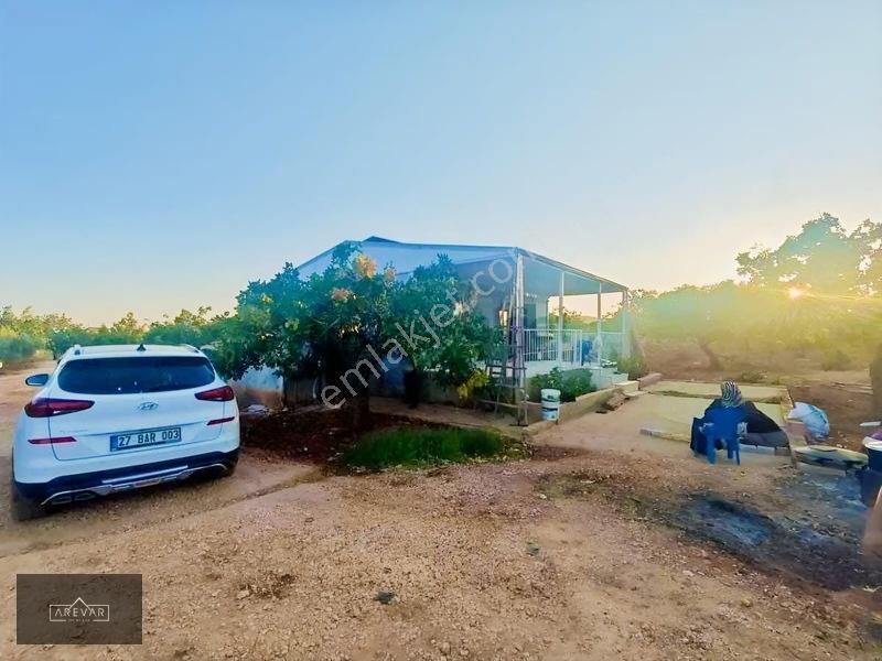 Oğuzelı Gürsu'da Satılık Fıstıklık Ve 2+1 Bağ Evi — fotoğraf 7