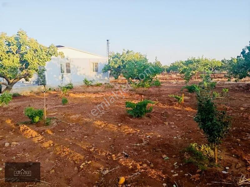 Oğuzelı Gürsu'da Satılık Fıstıklık Ve 2+1 Bağ Evi — fotoğraf 13