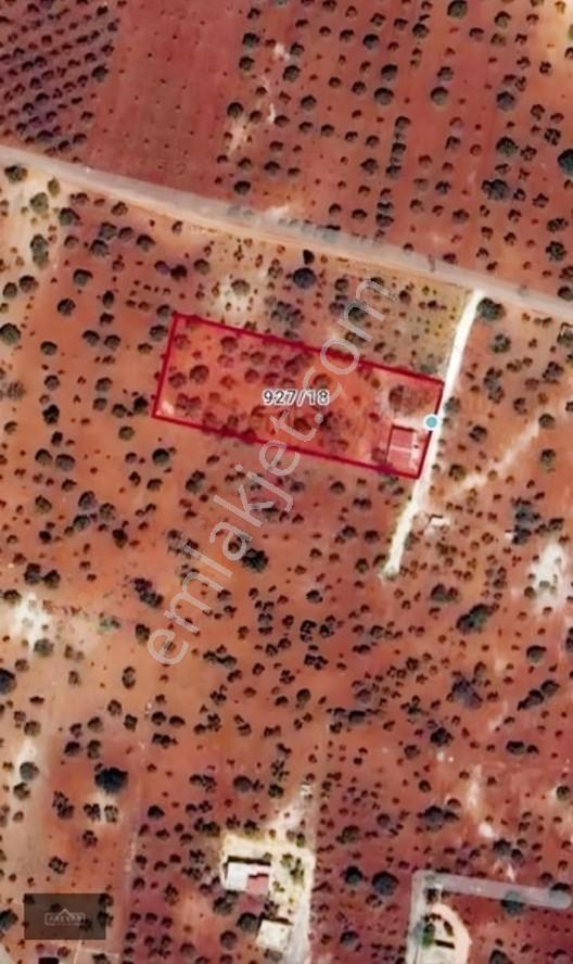Oğuzelı Gürsu'da Satılık Fıstıklık Ve 2+1 Bağ Evi — fotoğraf 20