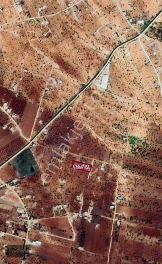Oğuzelı Gürsu'da Satılık Fıstıklık Ve 2+1 Bağ Evi — fotoğraf 25