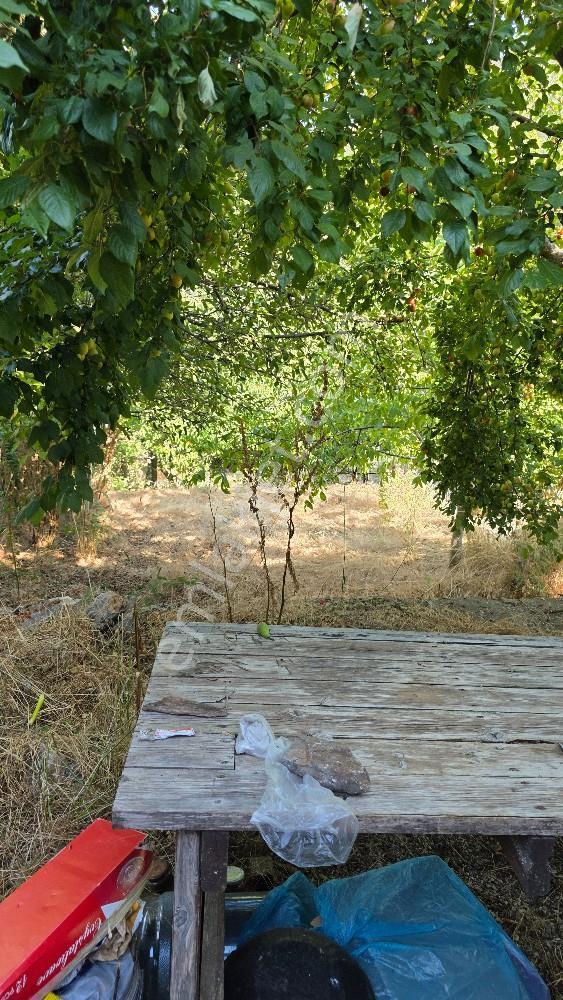 Manisa / Şehzadeler / Ayvacık Köyünde Doğayla İç İçe Villa — fotoğraf 6