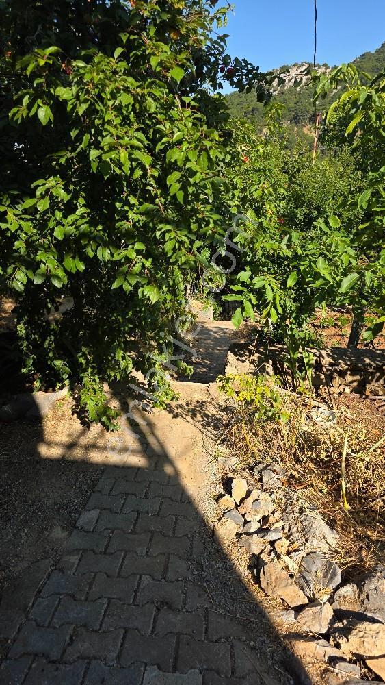 Manisa / Şehzadeler / Ayvacık Köyünde Doğayla İç İçe Villa — fotoğraf 7