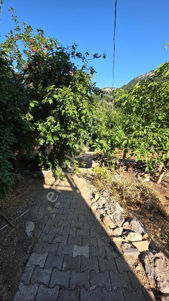 Manisa / Şehzadeler / Ayvacık Köyünde Doğayla İç İçe Villa — fotoğraf 8