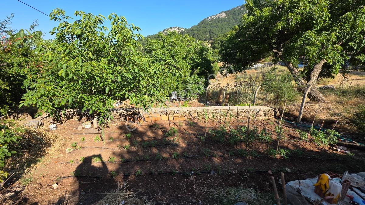 Manisa / Şehzadeler / Ayvacık Köyünde Doğayla İç İçe Villa — fotoğraf 9