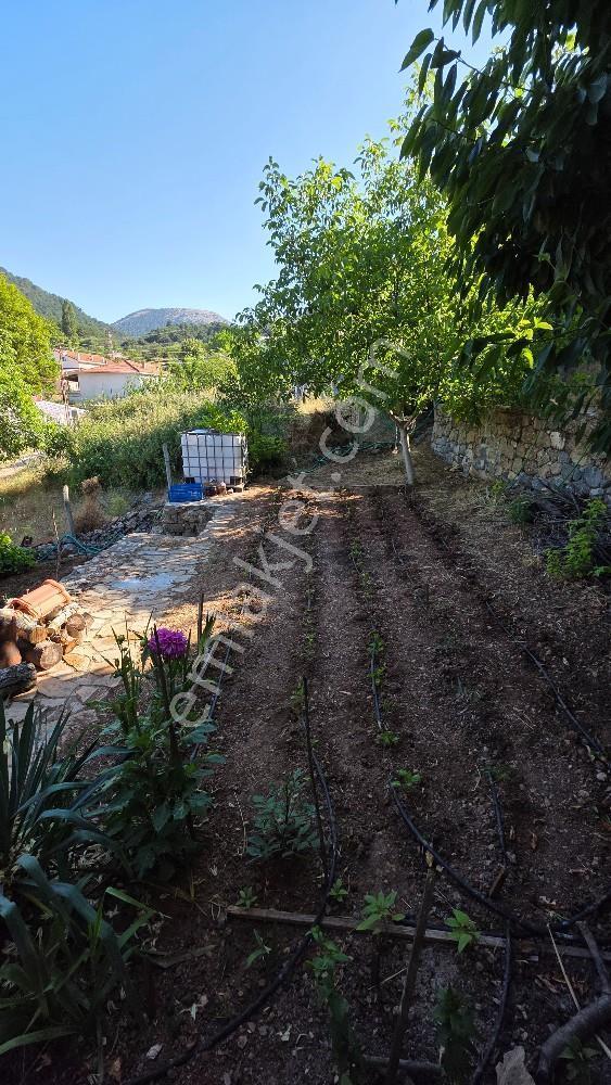 Manisa / Şehzadeler / Ayvacık Köyünde Doğayla İç İçe Villa — fotoğraf 11